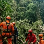 Área de mata na Vista Chinesa isolada após queda de helicóptero no Rio de Janeiro