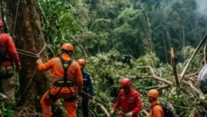 Área de mata na Vista Chinesa isolada após queda de helicóptero no Rio de Janeiro