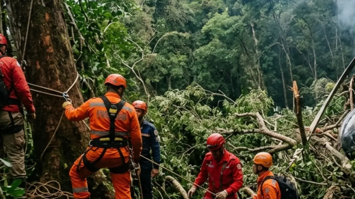Área de mata na Vista Chinesa isolada após queda de helicóptero no Rio de Janeiro